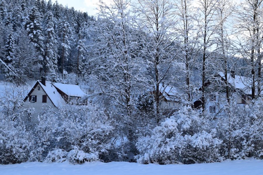 verschneites Rohnbach Blick auf das Schwarzwaldhaus Zwink 